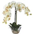 thumbnail image 1 of Phalaenopsis w/Glass Vase Silk Flower Arrangement, 1 of 2