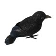thumbnail image 1 of Halloween Black Feathered Crow Party Prop Party Favors Halloween Realistic Crows Style A, 1 of 9