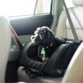 thumbnail image 2 of Gen7Pets RC2000 Roller-Carrier Pet Carrier - Black Geometric, 2 of 6