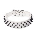 thumbnail image 1 of Dogs Kingdom Leather Black Spiked Studded Dog Collar 2" Wide, Boxer Collar, 1 of 5
