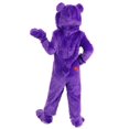 thumbnail image 2 of Care Bears Toddler Classic Share Bear Costume, 2 of 6