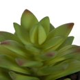 thumbnail image 4 of hometrends Kelvin Faux Succulent in Grey Pot, 4 of 5
