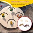 thumbnail image 2 of pitrice 1 Set Modèle de Ver Pique Matériau Plastique Premium Figurines d'Insectes Significatives Modèles Éducatifs Précoces pour Projet Scolaire Fourmi Rouge, 2 of 6