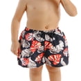 thumbnail image 1 of Family Matching Father Son Swim Trunks and Boys Quick Dry Swimwear, 1 of 5