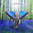 thumbnail image 1 of MORELLO, TOM THE ATLAS UNDERGROUND FLOOD (SKY BLUE GRAPE VINYL) (LP/Vinyl), 1 of 2