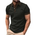 thumbnail image 1 of Styesk T Shirts for Man Fashion Leisure Solid Color Versatile Button Turndown Collar Short Sleeve Top, 1 of 2