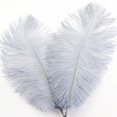 thumbnail image 1 of Ostrich Feather 30-35Cm Colorful Feather Decoration 102# Gray Grey Feather (1*Feather), 1 of 7
