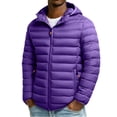 thumbnail image 1 of Men's Winter Quilted Jacket with Stitching Design, Slim Fit Hooded Coat, Polyester Material for Warmth and Insulation, Suitable for Cold Weather Casual and Outdoor Activities, 1 of 9