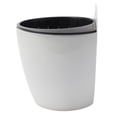 thumbnail image 2 of Wall-mounted flower pot automatic water-absorbing plastic green dill, 2 of 10