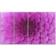 thumbnail image 2 of Large Purple Flower and Petals - Floral Canvas Art Print, 2 of 3