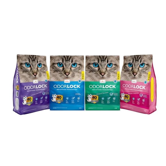 Intersand America 777979210067 13.2 Lb Odorlock Litière pour Chat en Poudre pour Bébé