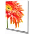 thumbnail image 2 of Gerbera Orange sur Fond Blanc - Impression sur Toile Florale, 2 of 3