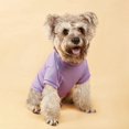 thumbnail image 4 of SIfdSeng Dog Clothes Boy Small Pet Clothes Spring Summer Pet Breathable Comfortable Clothes Cute Printed Pet Clothes for Cats and Dogs Dog Shirt for Large Dogs Warm Small Cat Clothes, 4 of 7