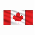 thumbnail image 1 of 3 X 5 Pi - Drapeau SOUVENIR du CANADA 3 X 5 Pi, 1 of 1