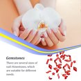 thumbnail image 4 of stanreset 50 Pieces Glass Crystal Set Gem Glitter Personalized 3D Tips Decoration Art Rhinestones Manicure Accessories Wedding Dress Bright Red, 4 of 6