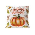 thumbnail image 1 of Fridja Housses de Coussin d'Halloween 18 x 18 Pouces Rétro Citrouille d'Halloween Graphique Housse de Coussin Décorative Colorée Rustique d'Halloween pour Décoration de Maison, Canapé, Sofa pour les Fêtes, 1 of 1