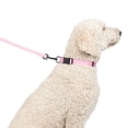 thumbnail image 2 of One Paw, Collier à sangle pour chiens, plusieurs couleurs et tailles disponibles, 2 of 5