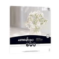 thumbnail image 1 of Neenah Astrodesigns Bright White Cardstock, 12" x 12", 65 lb, 25 Sheets, 1 of 4