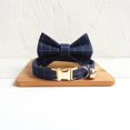 thumbnail image 1 of Velvet Pattern Cat Collar w/ Bowtie - Engrave Your Pet's ID, 1 of 15