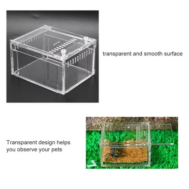Terrarium pour Reptiles, Boîte de Reproduction Transparente Design Anti-Évasion, Animaux pour Tortues Animaux Serpents