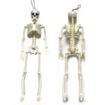 thumbnail image 2 of 5 Packs Halloween Skeleton Decoration  16‘‘ Halloween Decorations Full Body Posable Skeletons Props with Movable Joints, 2 of 2