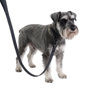 One Paw, Silicone Dog Leash with Honeycomb Pattern and Padded Handle, 6ft