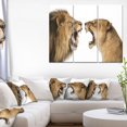 thumbnail image 3 of Design Art Lion And Lioness Roaring Canvas Print, 3 of 3