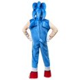 thumbnail image 3 of Déguisement de Luxe Sonic the Hedgehog pour Garçon, 3 of 4