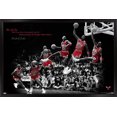 thumbnail image 1 of Michael Jordan - Voler, 1 of 4