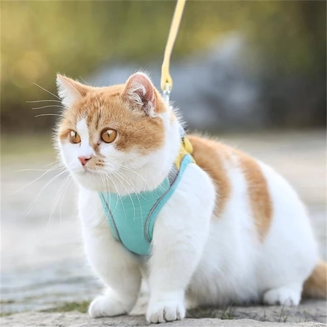 TIMIFIS Cat Harness Cat Belt and Leash Set Walking Adjustable Puppy Mesh Vest S/XL Cat Harness And Leash - Fall