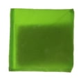 thumbnail image 1 of jinwen Sac à Trous de Maïs à Double Couche pour Jeu de Lancer Vert, 1 of 6