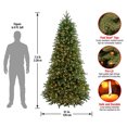 thumbnail image 4 of National Tree Company Jersey Frasier Fir 7.5' Clear Pre-lit Slim Artificial Christmas Tree, 4 of 7