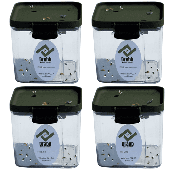 Piège Discret pour Guêpes et Piège à Mouches, Lot de 4. Qualité Professionnelle. Durable et Prêt pour Partout, Parfait pour Guêpes, Vestes Jaunes, Abeilles Charpentières, Mouches et Plus.