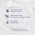 thumbnail image 2 of Dove Hair Therapy Endless Waves Conditioner, 2 of 6