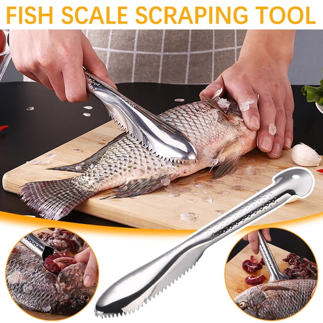 Apmemiss Outil de Grattage d'Écailles de Poisson, Couteau à Écailles de Poisson Multifonction en Acier Inoxydable pour le Nettoyage du Poisson, Détartreur pour Poisson, Détartreur à Dents de Scie pour Maison, Marché, Restaurant