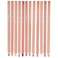 thumbnail image 2 of 12 Professional Colored Pencils, Skin Tone Color Pencils Pastel Pencils  For Artist For Coloring Drawing And Sketching, 2 of 8