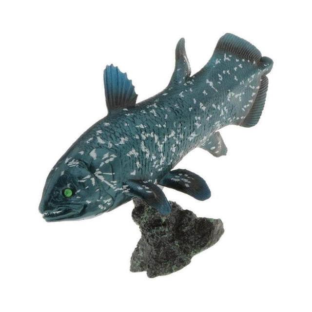 kurtrusly Realistic Static Ocean Animal Model Toy Kids Gift Latimeria with Base