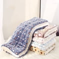 thumbnail image 4 of tredstone Easy To Clean And Safe And Non-toxic Warm Cat Dog Blanket For Easy Maintenance blue white star 1 1Set, 4 of 6