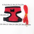 thumbnail image 4 of Chicken Leash Pet Chicken Leash Pet Leash, 4 of 4