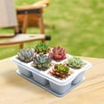 thumbnail image 4 of Wzzjkit Nursery Fleshiness Pots Reusable Planting Trays Suitable for Flowers Vegetables, 4 of 5
