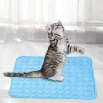 thumbnail image 5 of SXcggal 2025 New Dog Mat Washable Portable Pet Pad For Dogs & Cats Sleeping Mat For Home & Outdoor Keep For Cute Healthy Practical Pet Accessories, 5 of 5