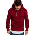 thumbnail image 1 of Sweat à Capuche pour Hommes Automne Hiver Slim Pull à Manches Longues Mode Urbaine, 1 of 4