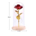 thumbnail image 3 of Yeacher Birthday Gift Beautiful Preserved Rose Flower LED Light with Glass Cover Wooden Base Valentines, 3 of 8