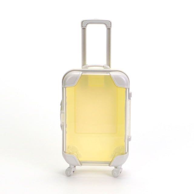 Valise de Voyage Compacte Transparente - Mini Bagage à Tirer avec Roulettes pour Rangement et Organisation - Conception Claire Solution Portable Sans Effort pour les Voyages