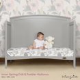 thumbnail image 4 of Dream On Me Endless Roses Crib and Toddler Mattress, 4 of 7