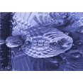 thumbnail image 1 of Ahgly Company Tapis d'Intérieur Lavables à la Machine pour Rectangles de Transition Bleu Ciel, 5' x 8', 1 of 7