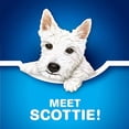 thumbnail image 3 of E-SCOTTIES SCOTTIES FT 6, 3 of 13