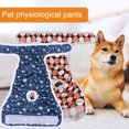 thumbnail image 4 of Neinkie Washable Reusable Premium Dog Diapers, Bright Color, for Female Dog, 4 of 9