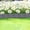 Grey, variant on VVQ Plastic Garden Fence Border, Lawn Edging Tree Ring Barrier for Landscaping Outdoor Yard Decorative, Grass Stones Separation Fence Panel 10.23x8.46 Inch, Gray