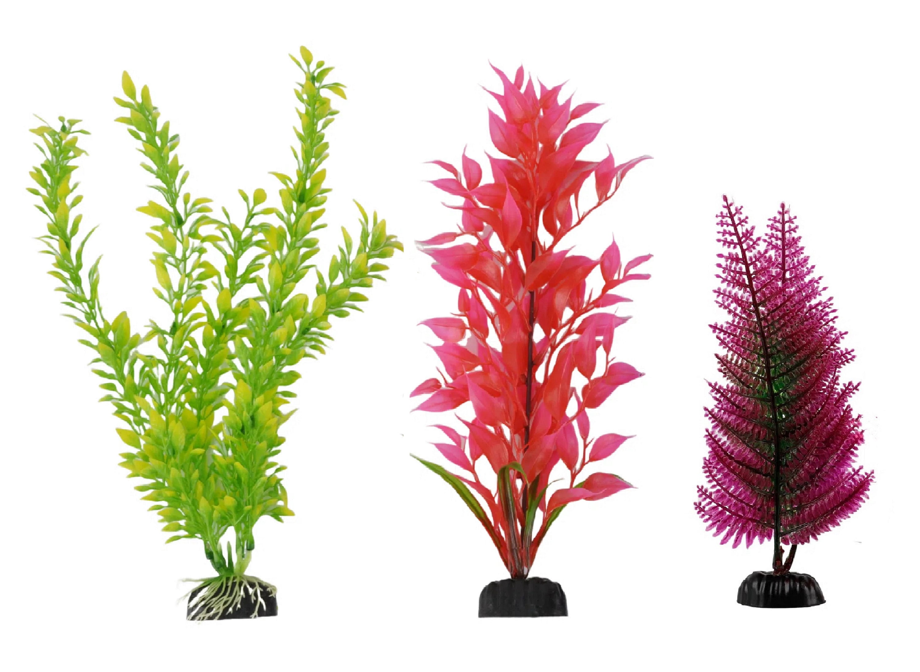 Vibrant Life VL 3 MOYENNES PLANTES
